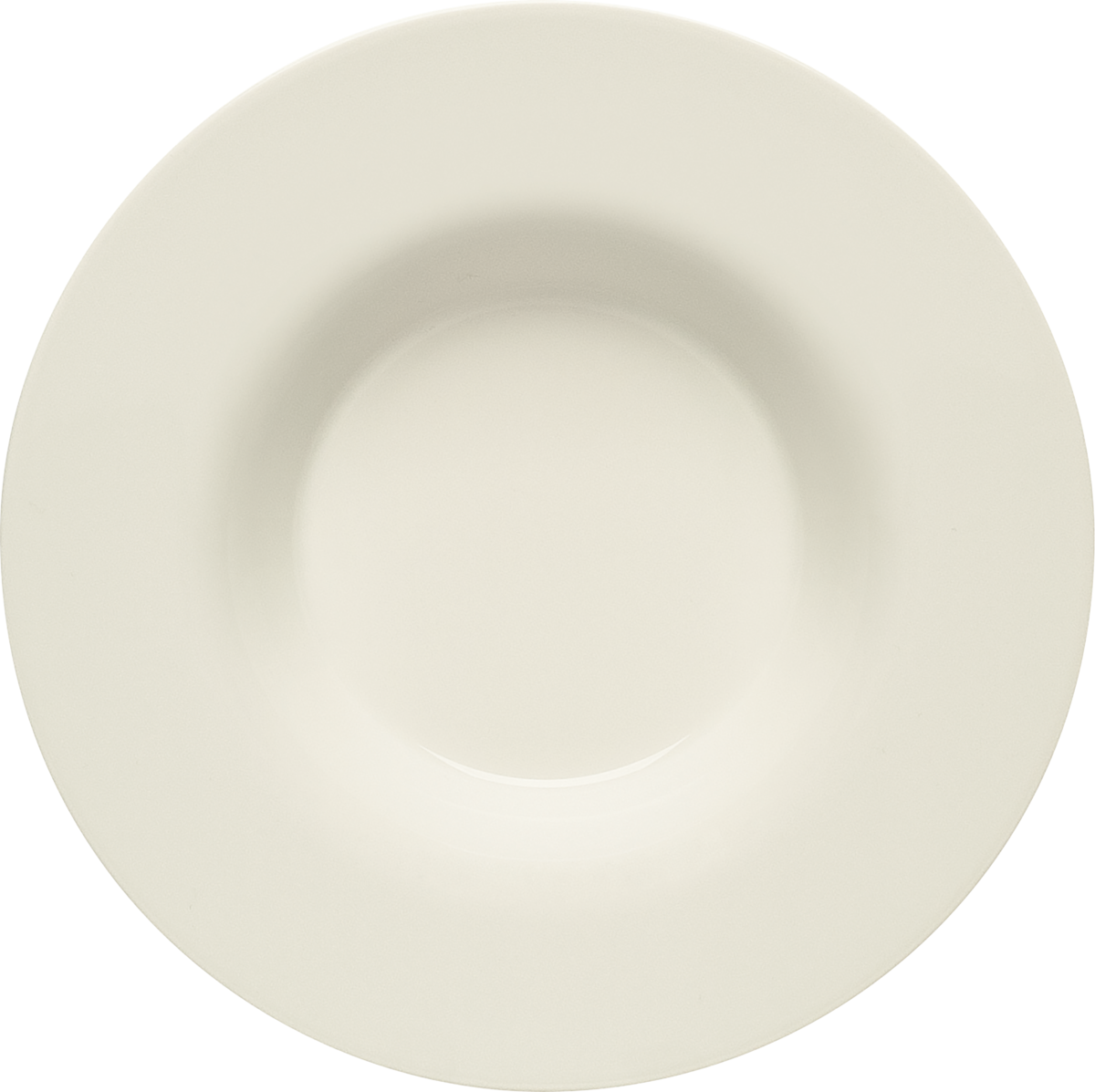 PURITY PLATE DEEP WITH RIM 24CM. Bauscher Germany