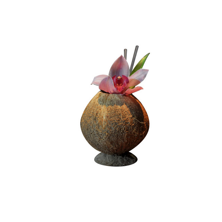 Coconut with base 500ml BarProfessional The Netherlands